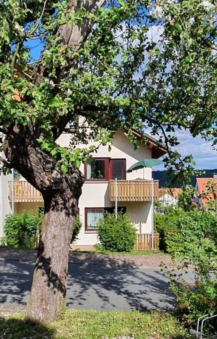 Ferienwohnung Kleinod Am Kurpark Bad Zwesten Exterior foto