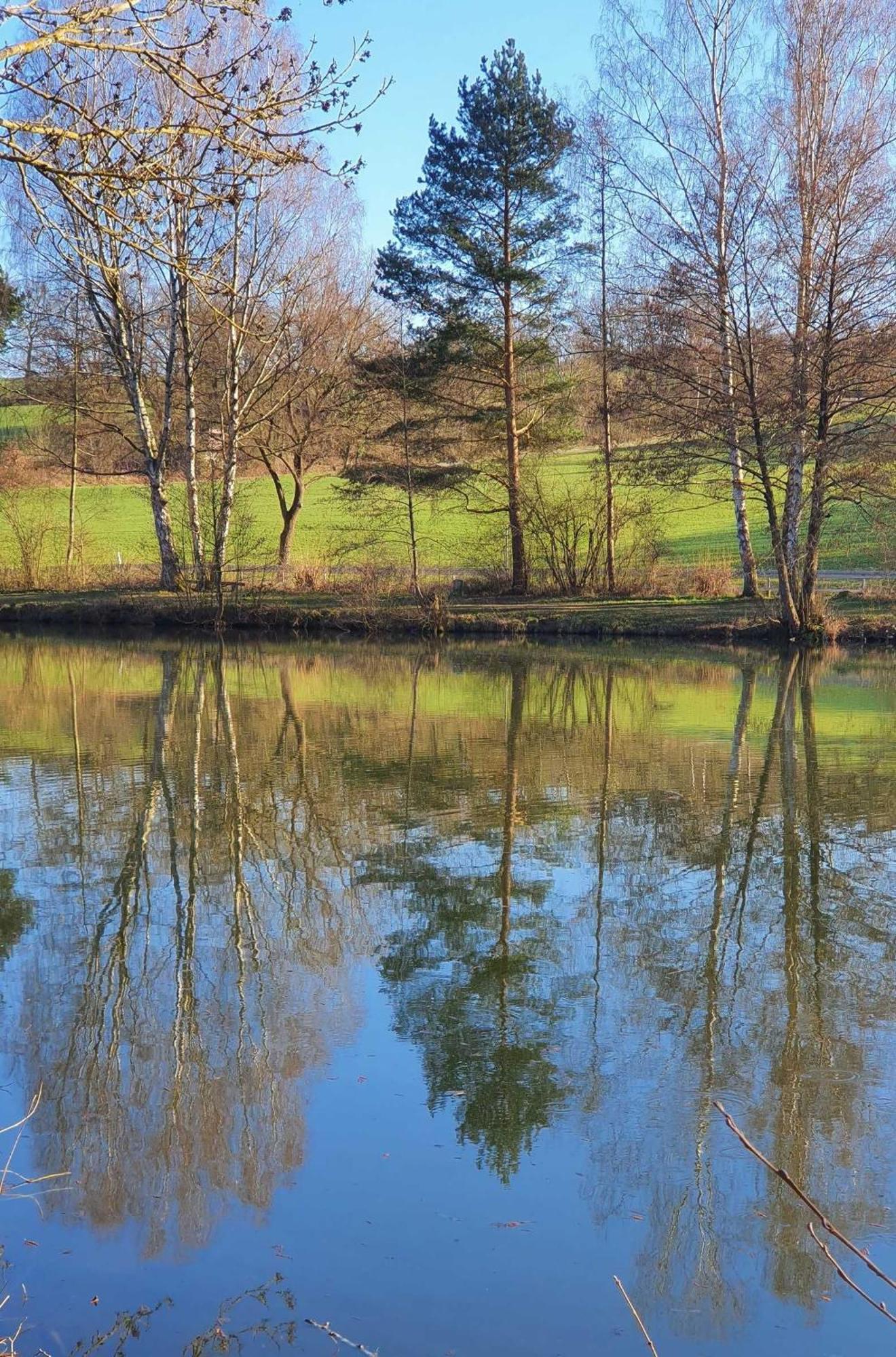 Ferienwohnung Kleinod Am Kurpark Bad Zwesten Exterior foto